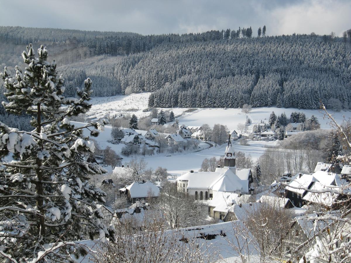 Haus Sonnenhuegel Apartment Winterberg Luaran gambar